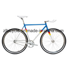 Zl City Customize Single Speeds Fixie Gear Bike